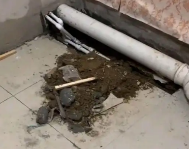道县卫生间漏水检测哪家好