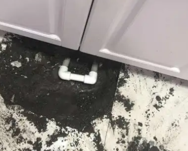 道县查漏水哪家好