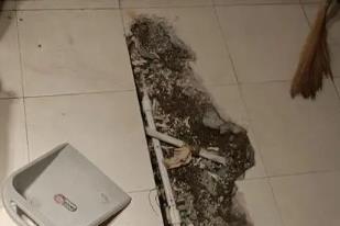 道县卫生间漏水检测电话
